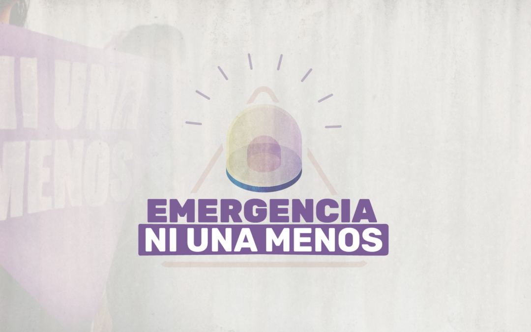 Una ley que declare la emergencia en violencias de género