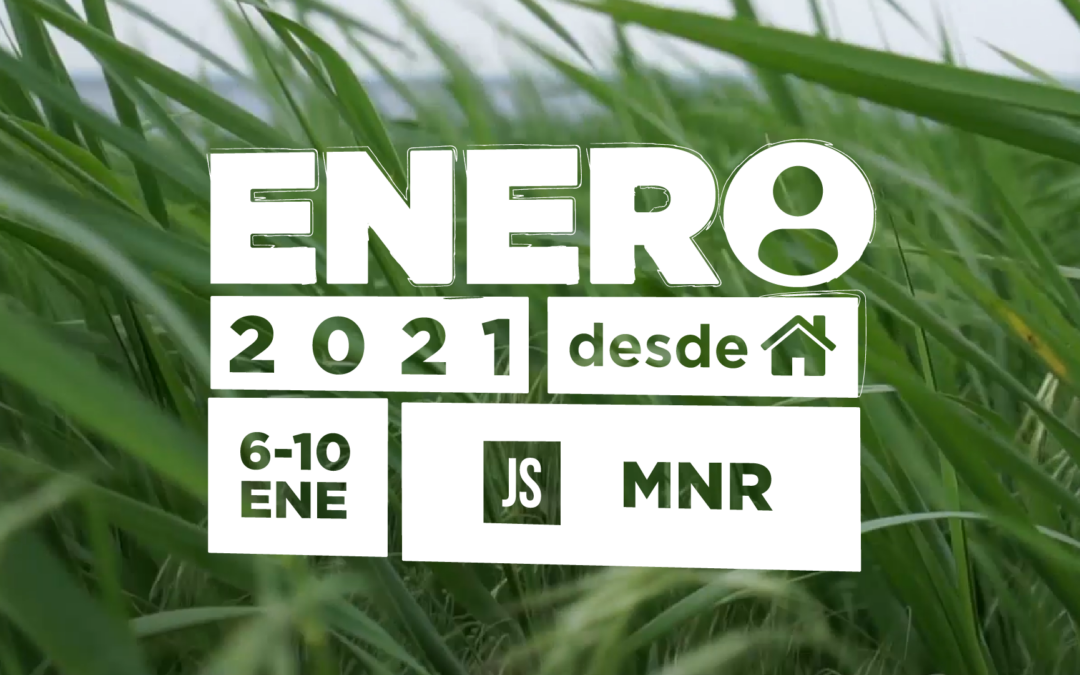 Arranca el enero: el campamento de las Juventudes Socialistas tendrá su versión virtual